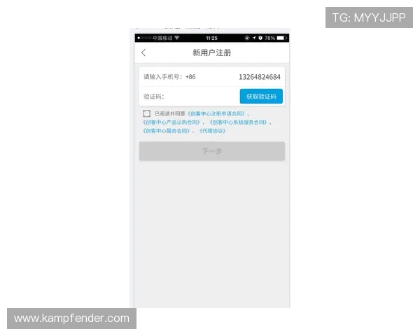 凯时vip网址登录入口详细解析,帮助用户快速找到官方安全通道