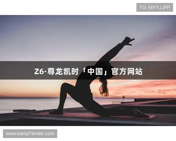 畅游z6尊龙·凯时官方网站，享受无与伦比的娱乐
